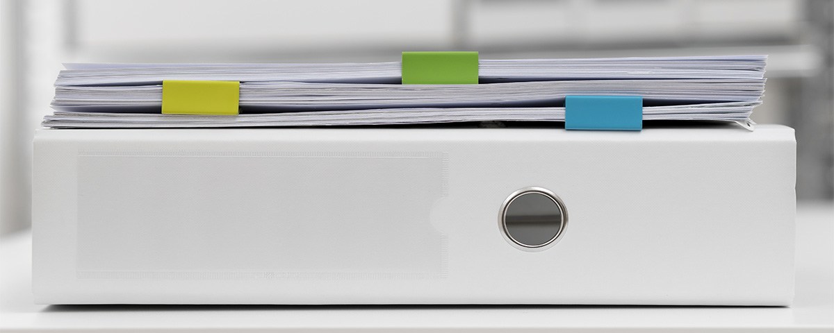 revisão documentação PAC