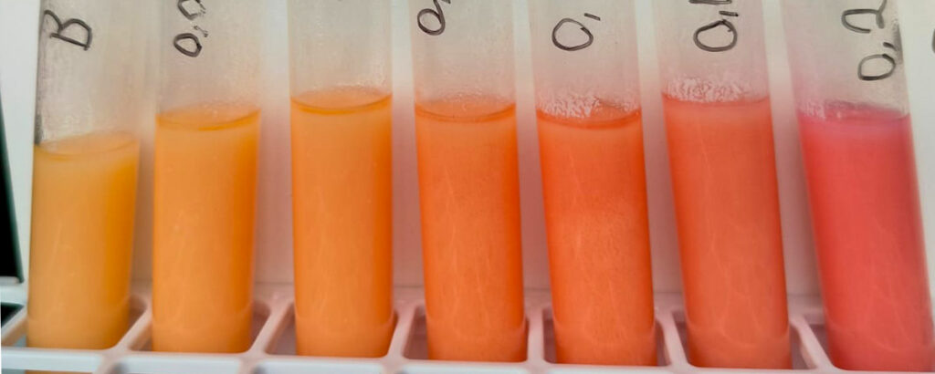 teste de fraude no leite neutralizantes