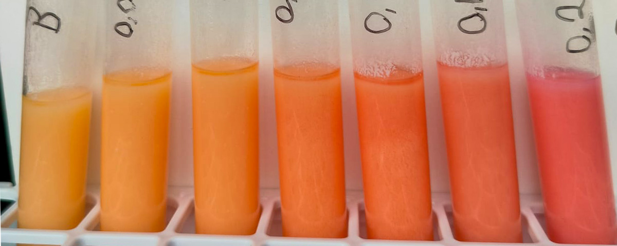 teste de fraude no leite neutralizantes